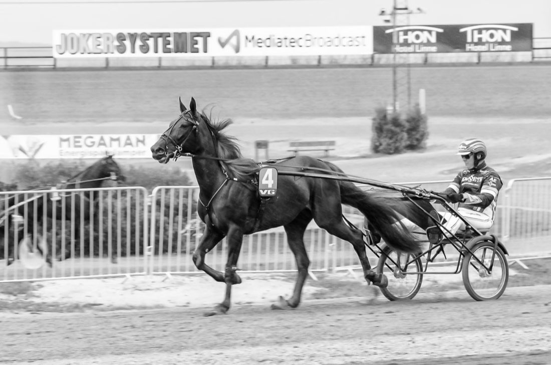 Bourbon Eyes och Another Way to Pay: så namnges travhästar