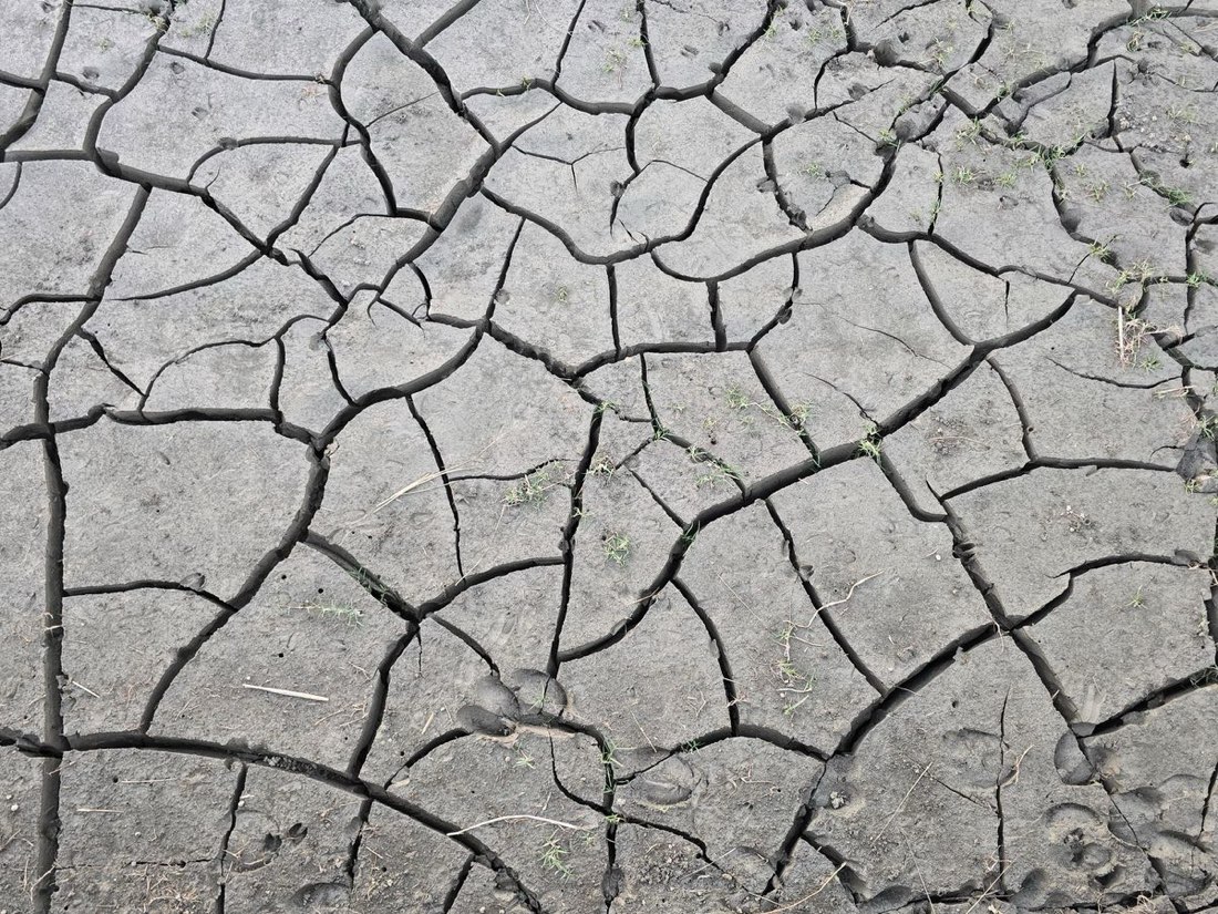 Därför bör du vara skeptisk till klimatflyktingar