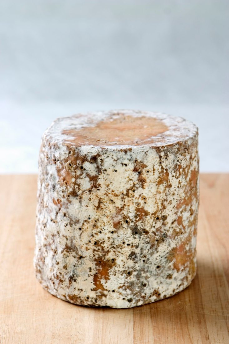 Taleggio mögel: kan en mögelost bli för moglig?