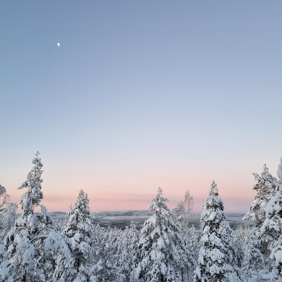 Ny undersökning: stöd i opinionen för ett självständigt Norrland