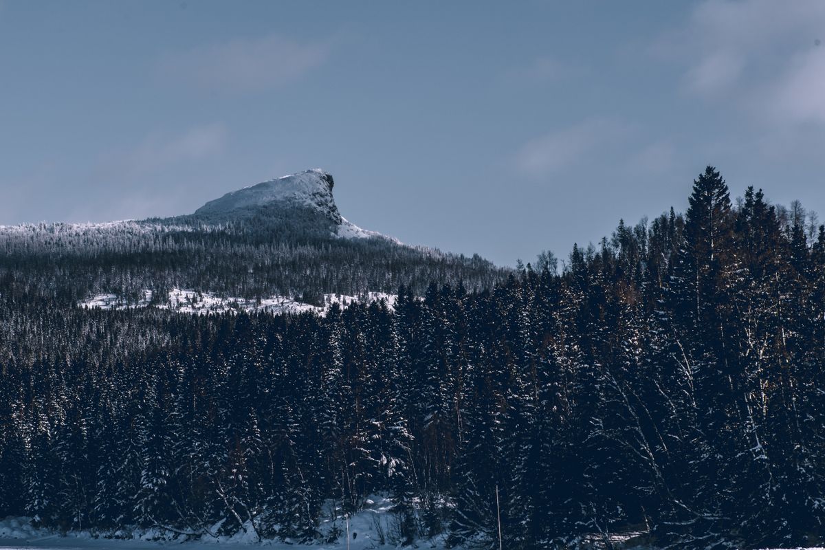Så ser stödet ut för tanken på ett självständigt Norrland